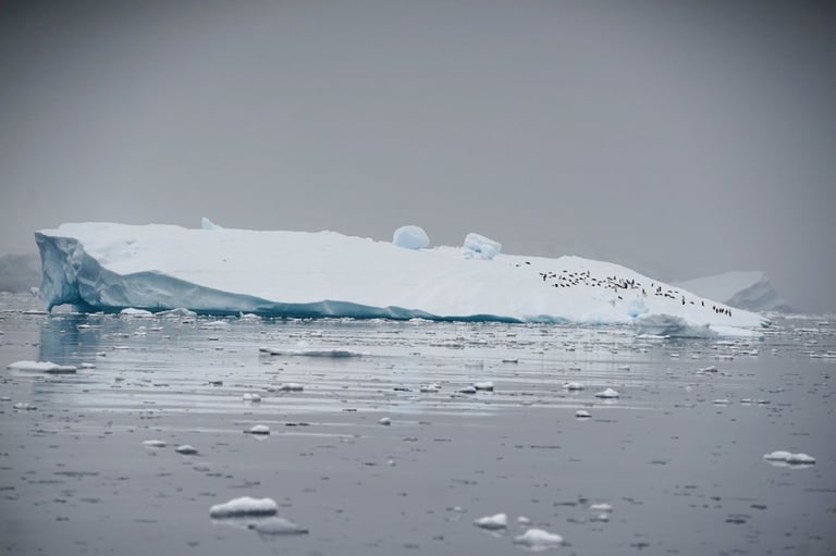 U.S. Retreats from Climate Leadership Amid Record Heat: Urgent Global Cooperation Needed