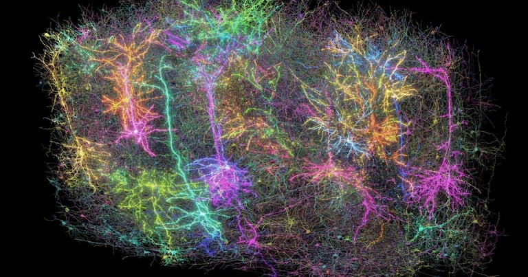 Unveiling the Mouse Brain: Scientists Map 84,000 Neurons in Breakthrough Study