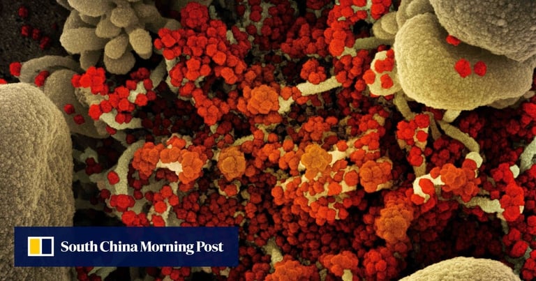 Immunocompromised Man Battles COVID for 613 Days: Virus Mutates 50+ Times Before Fatal Outcome