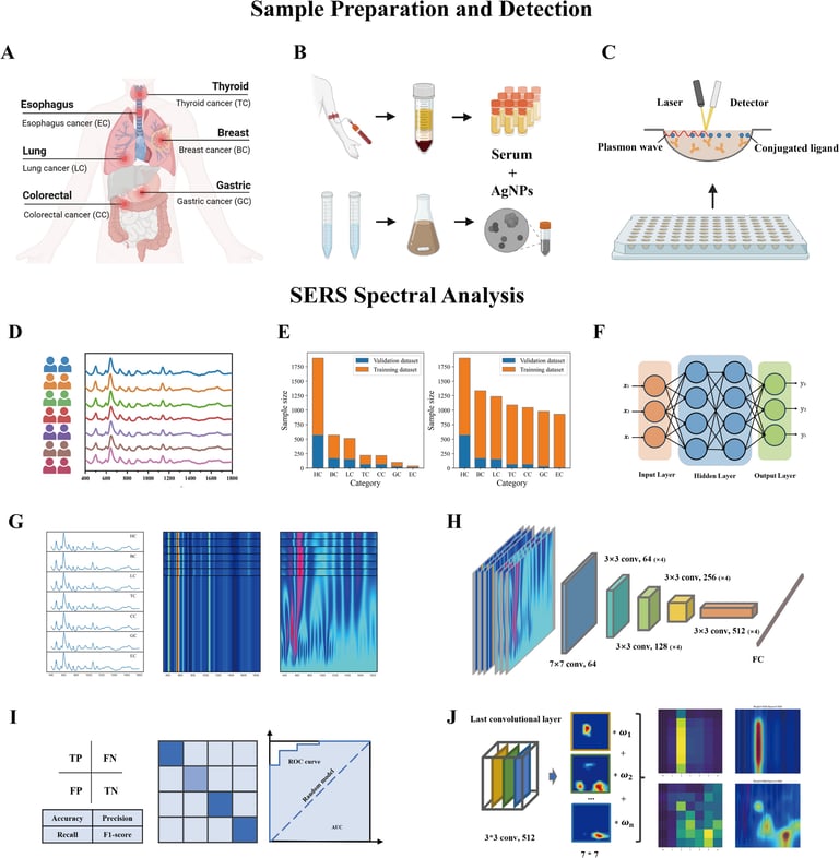 Revolutionary Multi-Cancer Detection Method Achieves 93% Accuracy with SERS and Deep Learning