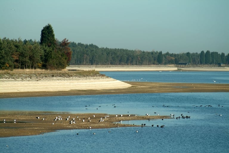 Emergency Response Underway After Vintage Aircraft Crashes at Hanningfield Reservoir, Essex