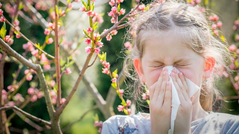 Victoria Warns of Heightened Thunderstorm Asthma Risk Amid Intense Pollen Season