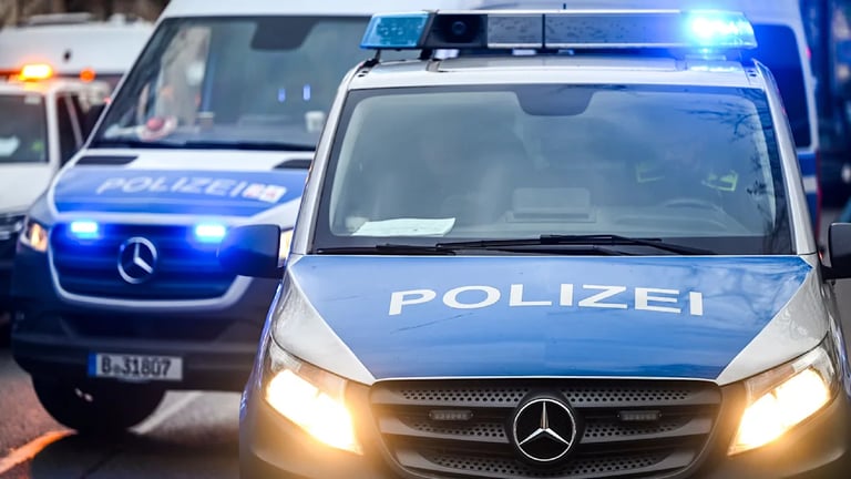 German Authorities Raid Neo-Nazi Network, Probe Links to Far-Right AfD Politicians