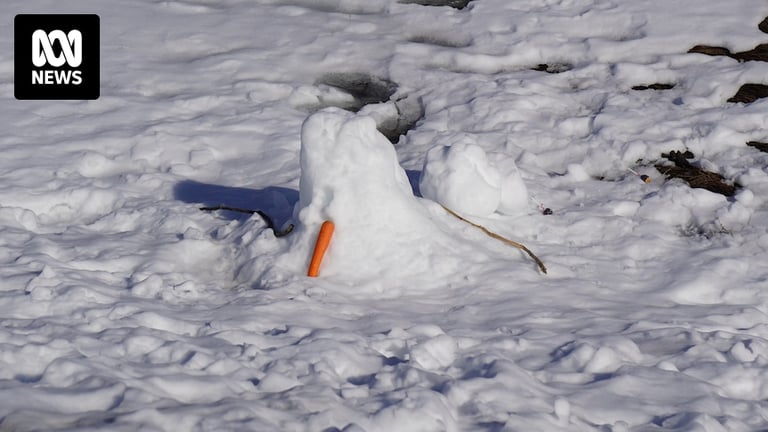 Dramatic Snow Decline Threatens Global Ski Resorts, Study Warns