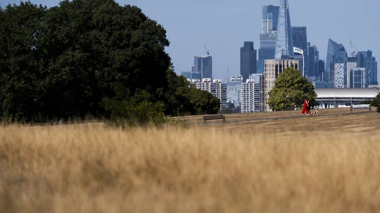UK Faces Extreme Heat: Cobra Meeting Addresses Wildfires, Drought, and Migrant Crisis