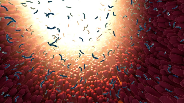 Revolutionary Gut Microbiome Study Reveals Evolutionary Lineages Key to Health & Disease