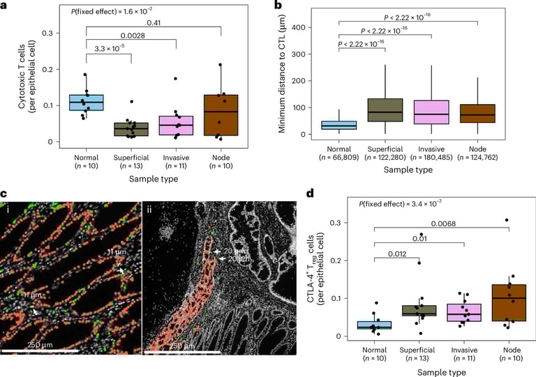 Early 'Big Bang' Moment in Bowel Cancer Reveals New Path for Personalized Immunotherapy and Vaccine Advances