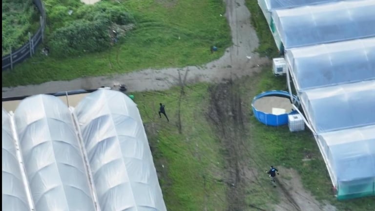 Massive $15M Cannabis Operation Busted: 8 Arrested in Melbourne