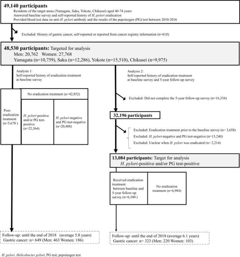 Study Reveals H. pylori Eradication Lowers Long-Term Gastric Cancer Risk, Highlights Initial Spike Post-Treatment