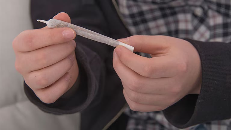 Study Links Adolescent Cannabis Use to Brain Cortex Thinning and Impaired Functioning