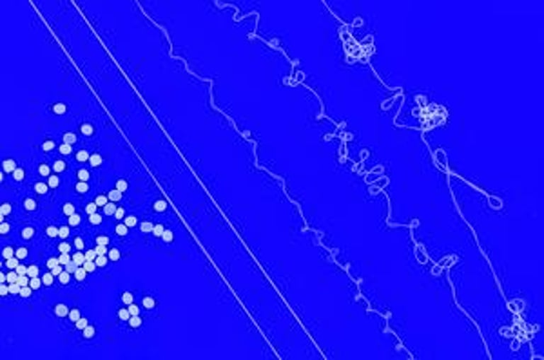 MIT Develops Recyclable Yarn to Transform Textile Waste into Circular Fashion Economy