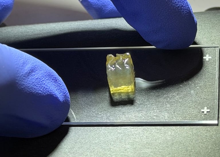 Auxilium's Space Bioprinting Advances Nerve Repair and Tissue Manufacturing in ISS Mission