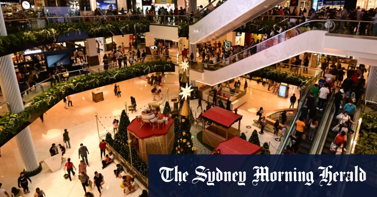 Man allegedly ‘wielded knife at customers, attacked police’ in Sydney Westfield