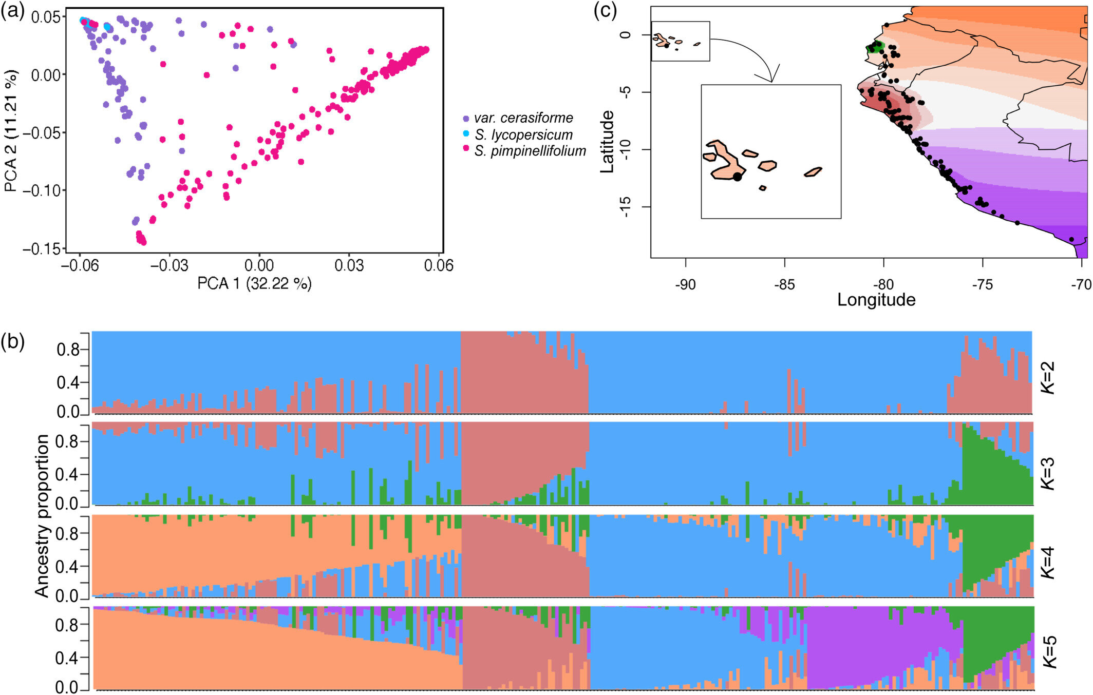 Unlocking the secrets of salt stress tolerance in wild tomatoes