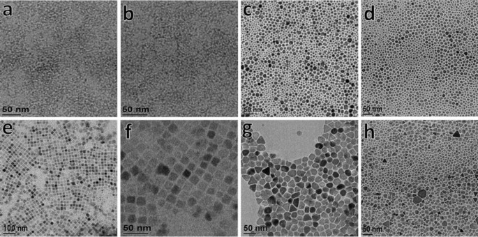 Facile microwave synthesis of various-shaped magnetite/ reduced graphene oxide heterostructures and their magnetization properties