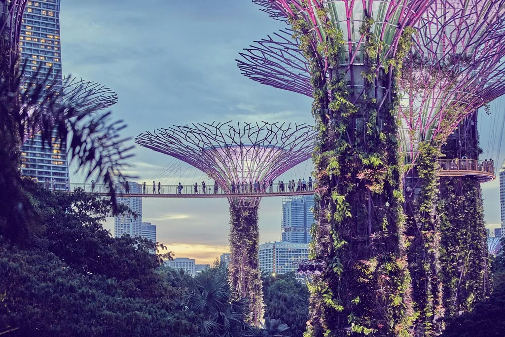 Singapore FinTech Festival 2024 to take place from 6-8 November, spotlight on artificial intelligence and quantum technology - Connected to India News I Singapore l UAE l UK l USA l NRI