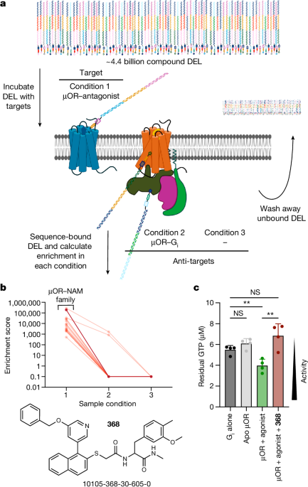 A µ-opioid receptor modulator that works cooperatively with naloxone