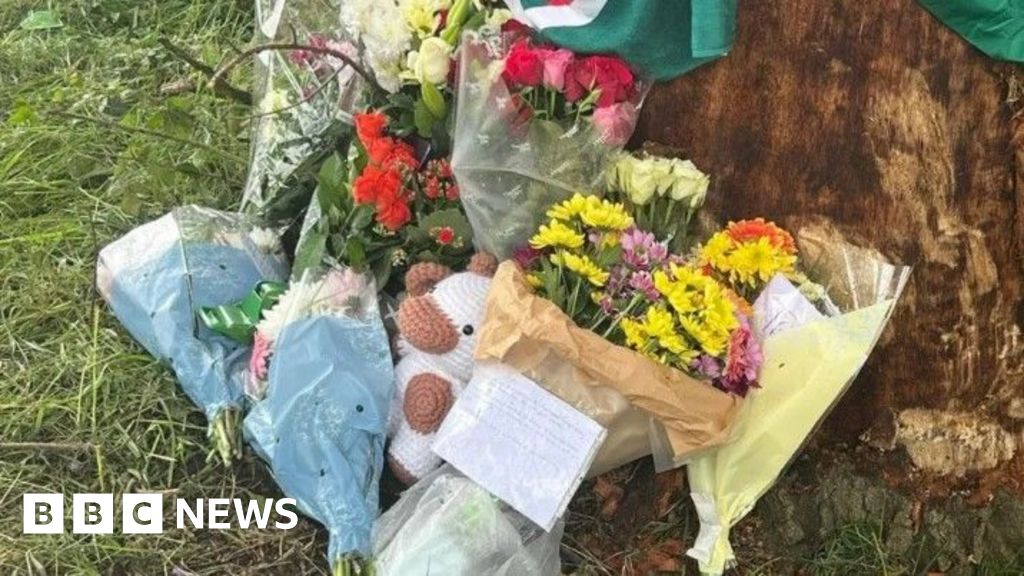 Third teen dies following Penkridge car crash