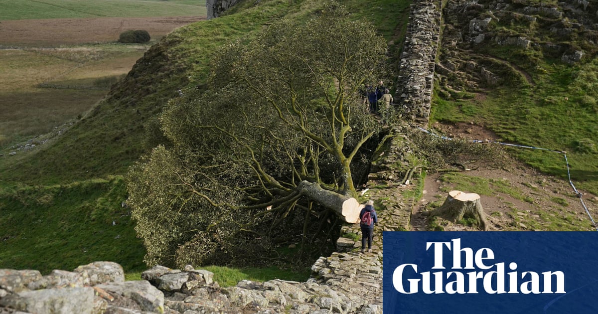 Two men charged over felling of Sycamore Gap tree