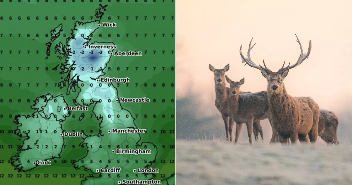 Weather map shows four-day freeze set to blast Brits with icy temperatures