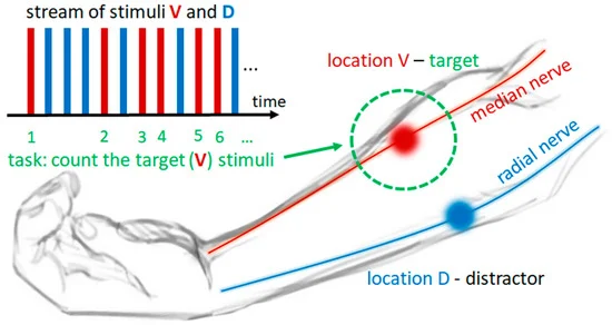 Electrotactile BCI for Top-Down Somatosensory Training: Clinical Feasibility Trial of Online BCI Control in Subacute Stroke Patients