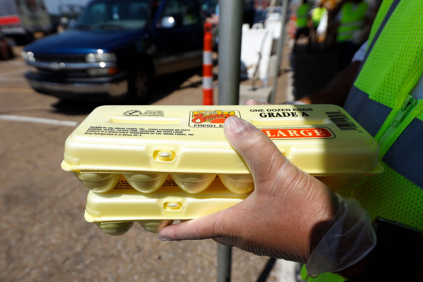 Largest U.S. egg producer detects bird flu at Texas plant