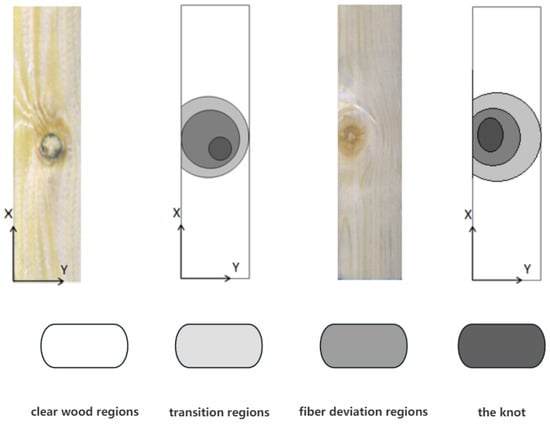 WD-1D-VGG19-FEA: An Efficient Wood Defect Elastic Modulus Predictive Model