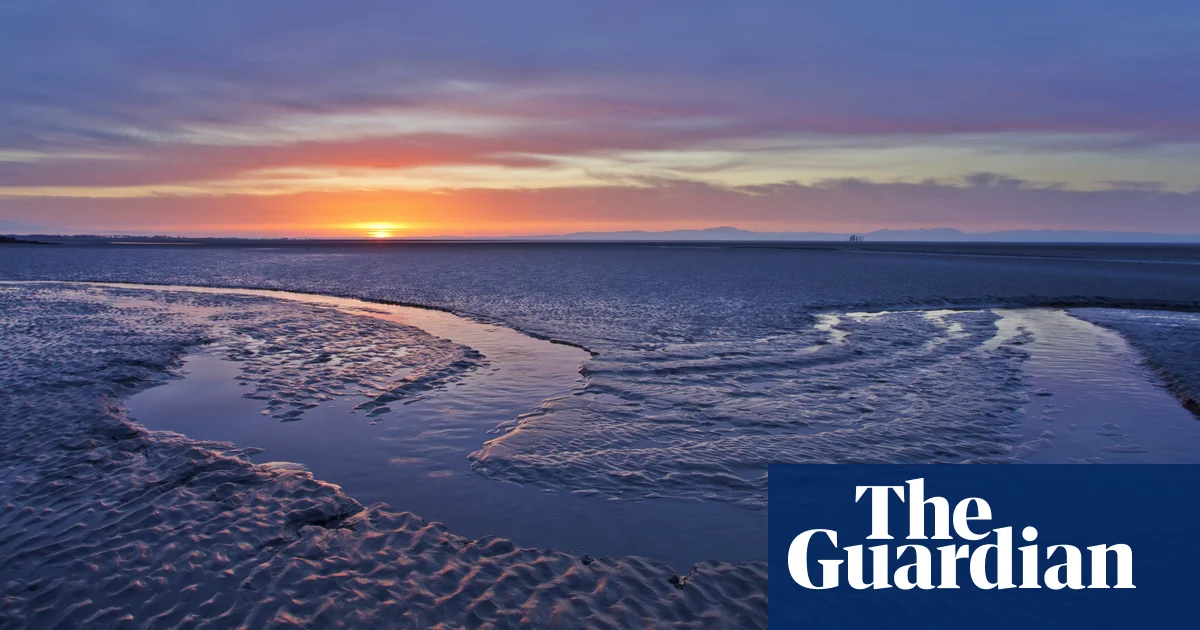 ‘Vast’ carbon sink of mud on seabed needs more protection, study shows