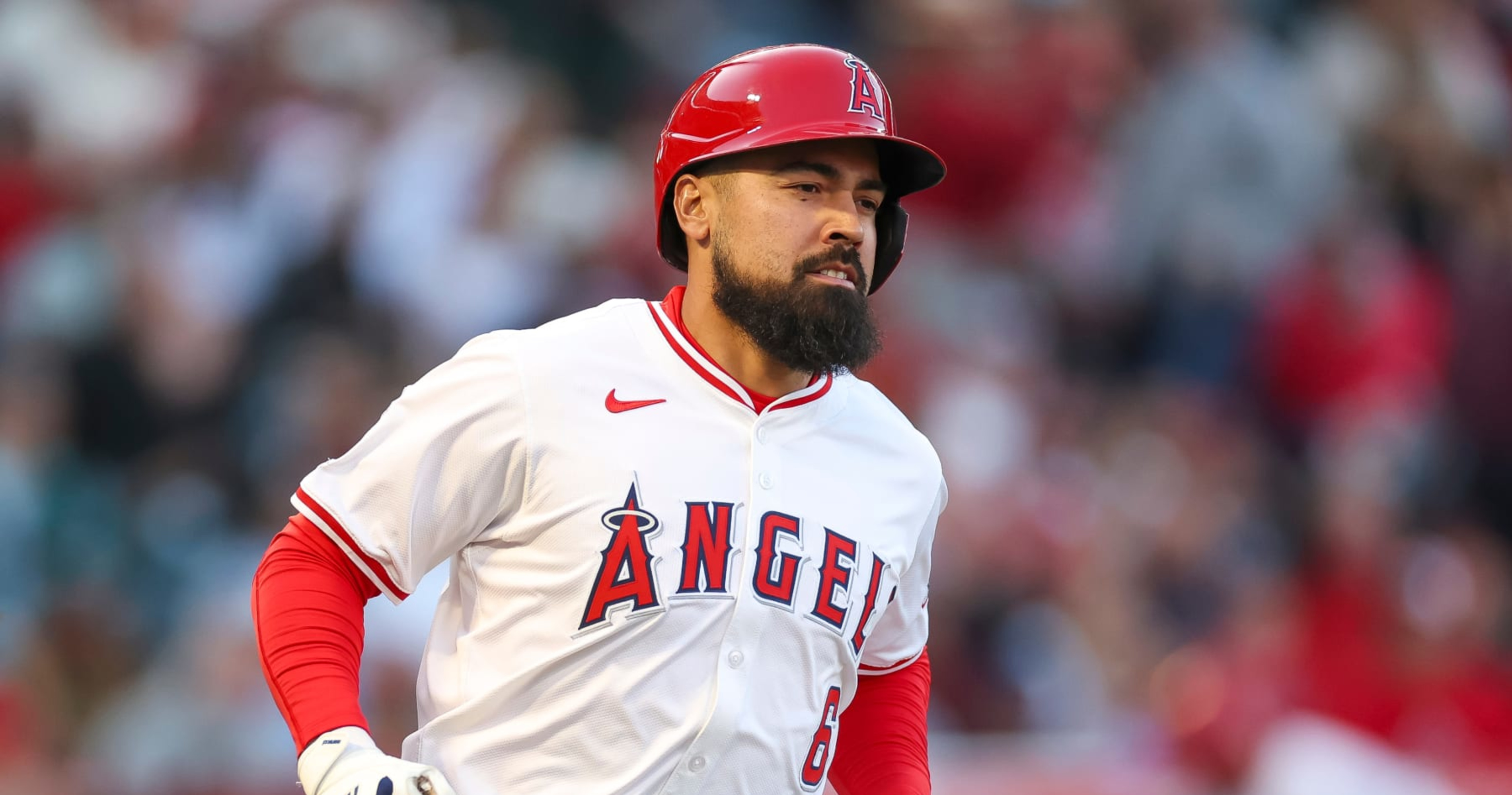 Angels' Anthony Rendon Reveals Hamstring Injury Severity After Landing on 10-Day IL