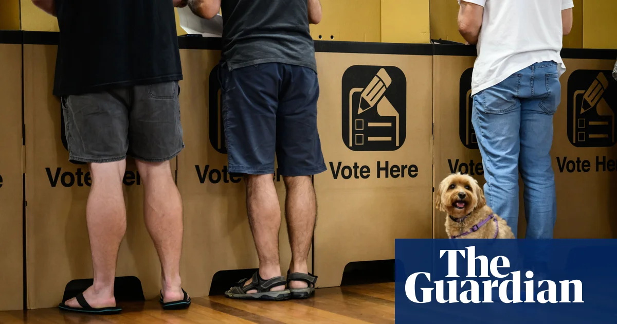 NSW Liberal party campaign in crisis after deadlines missed for council election nominations