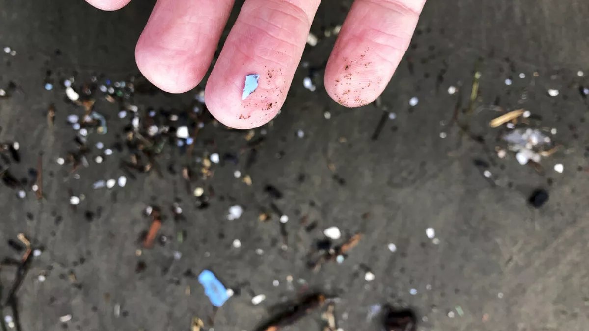 Microplastics can be breathed into your brain, new study shows