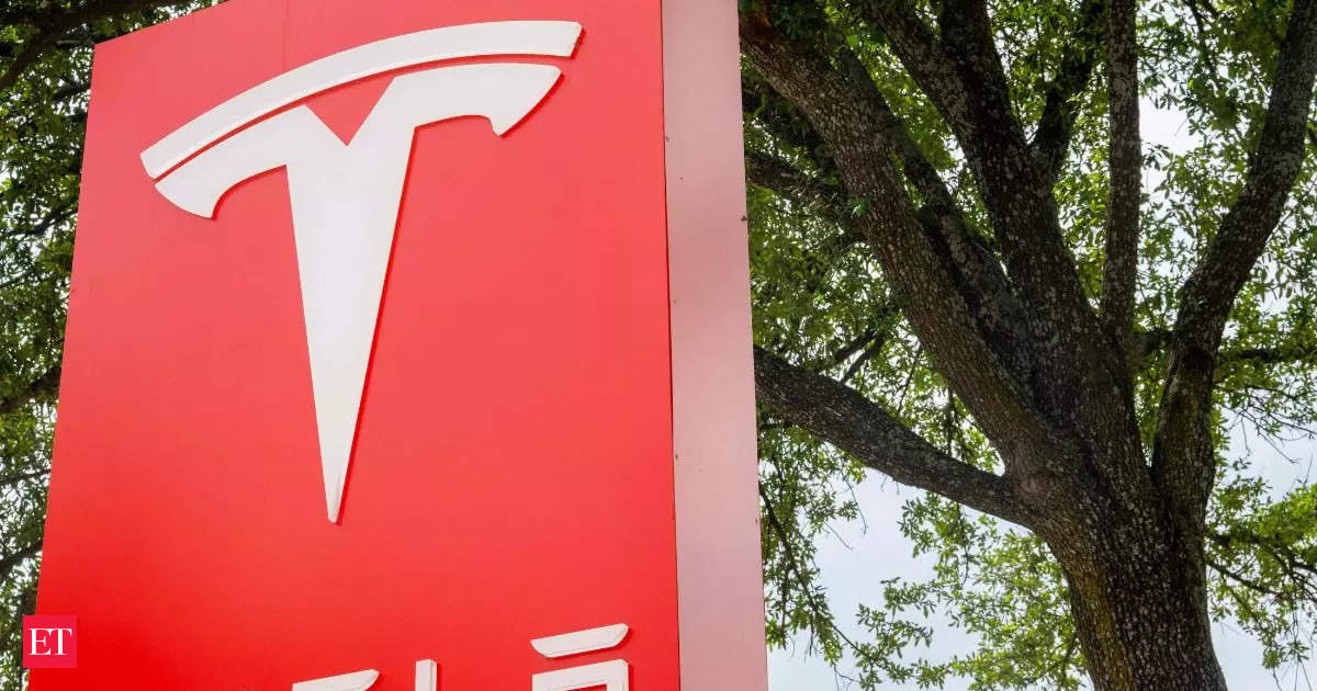 Tesla advisor joins India’s first consultative meeting on new EV policy