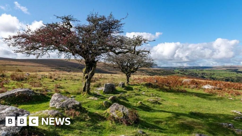 Lib Dems propose three new national parks