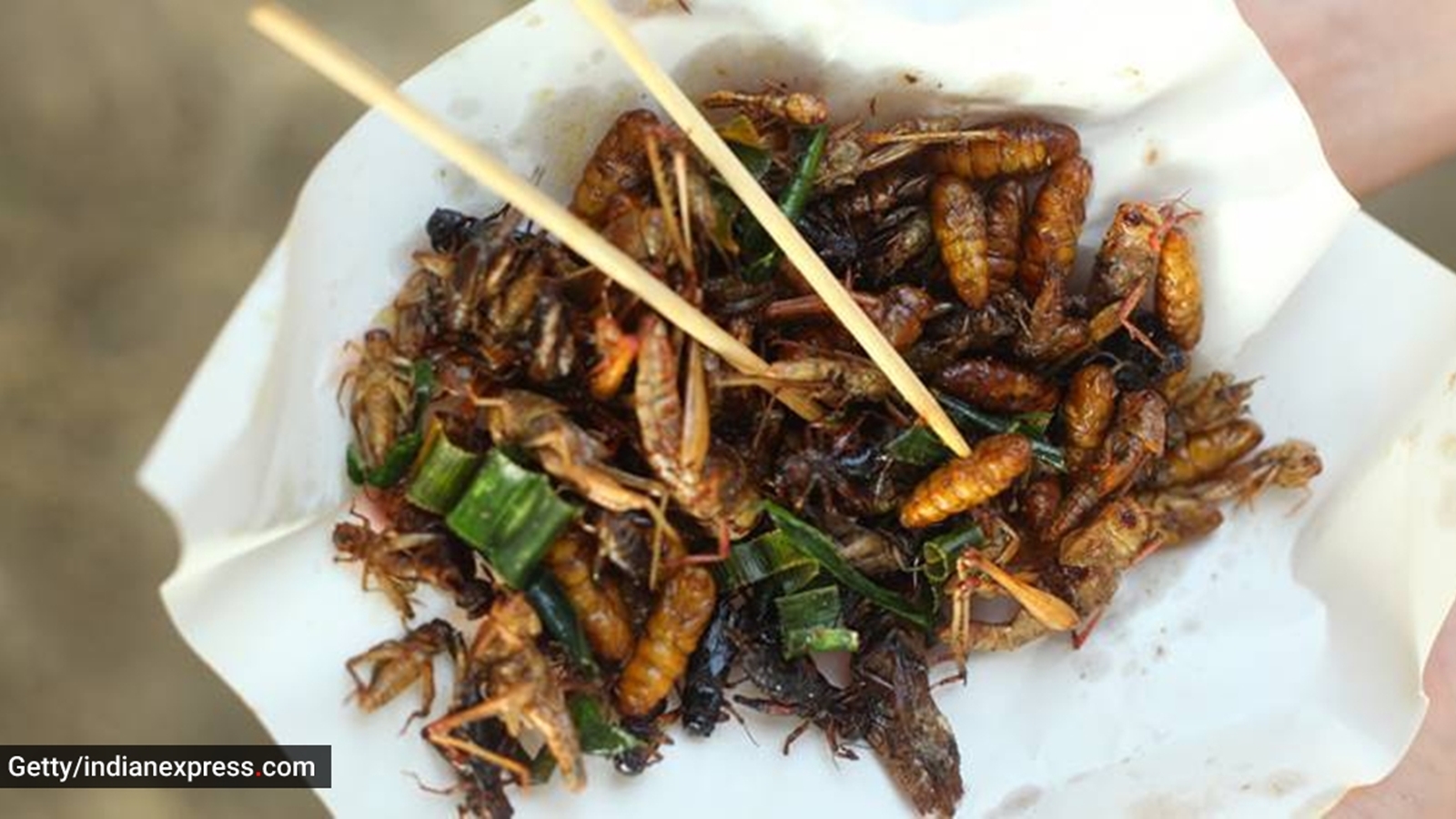 Singapore approves 16 insects for human consumption