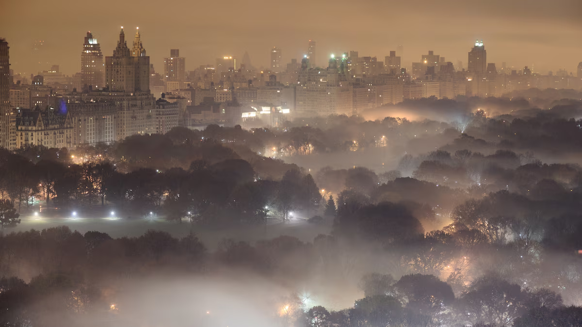 Streetlights are influencing nature—from how leaves grow to how insects eat