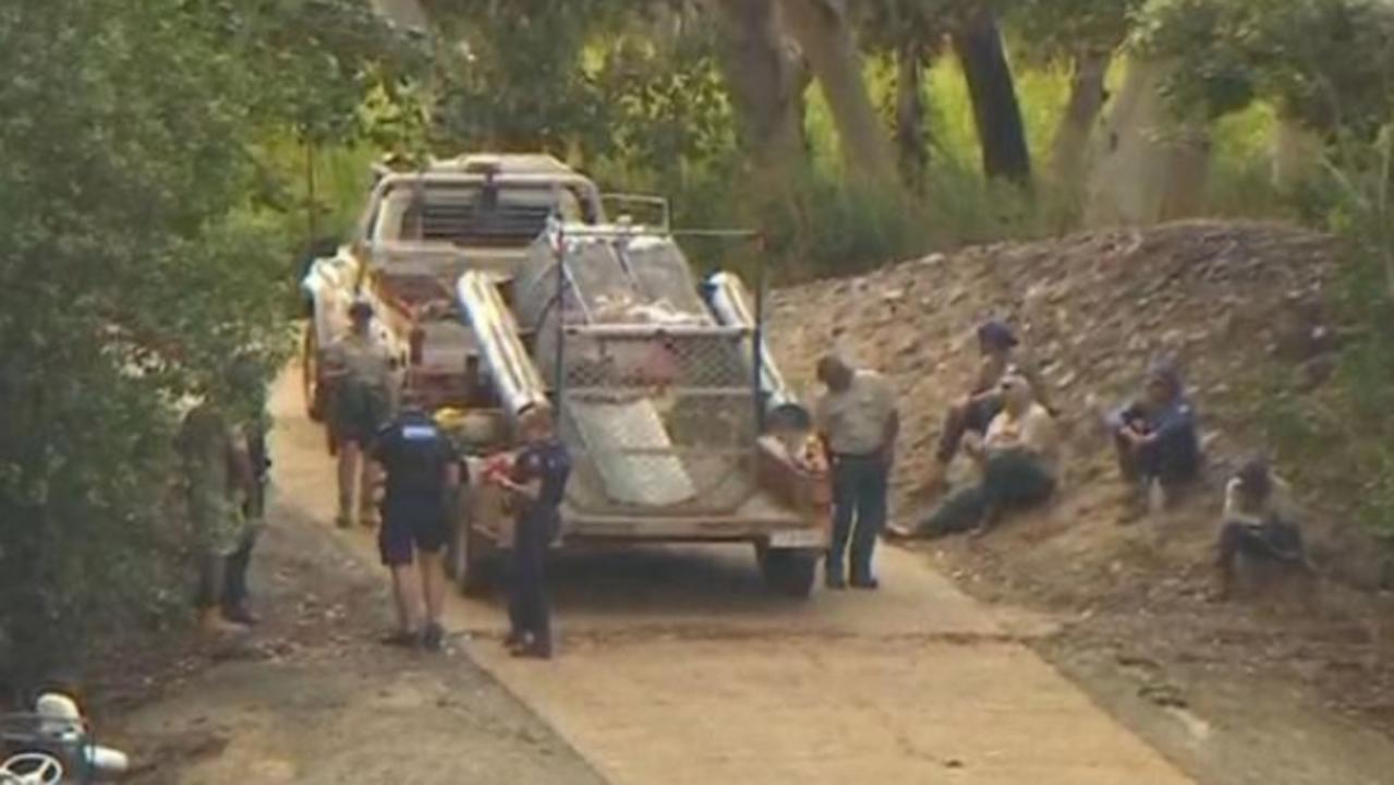 Horror find following crocodile attack