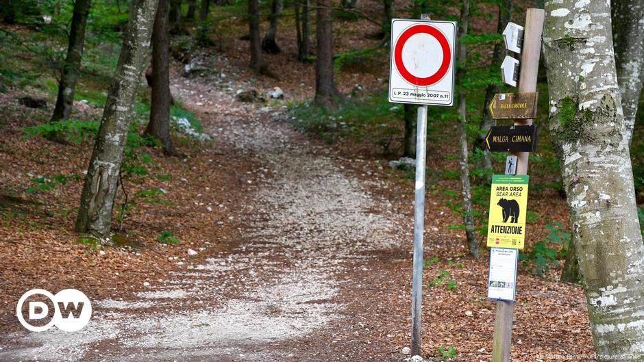 Italy: Bear shot dead after attack on hiker