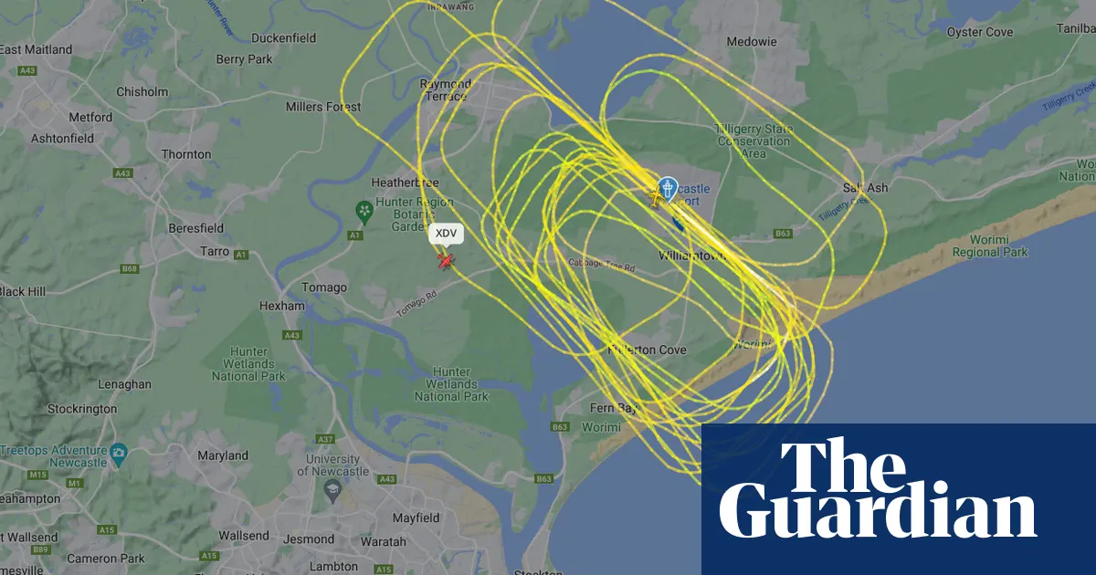 Plane circling Newcastle airport in NSW after landing gear fails to deploy