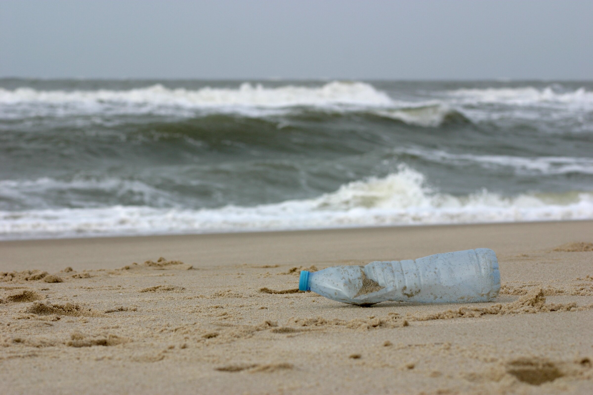 Citizen scientists help discover microplastics along the entire German coastline