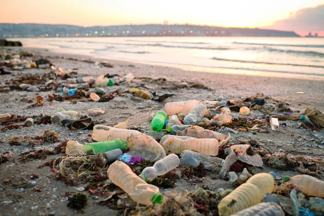 Global Plastics Treaty: Leading CEOs Call For Mandatory Rules