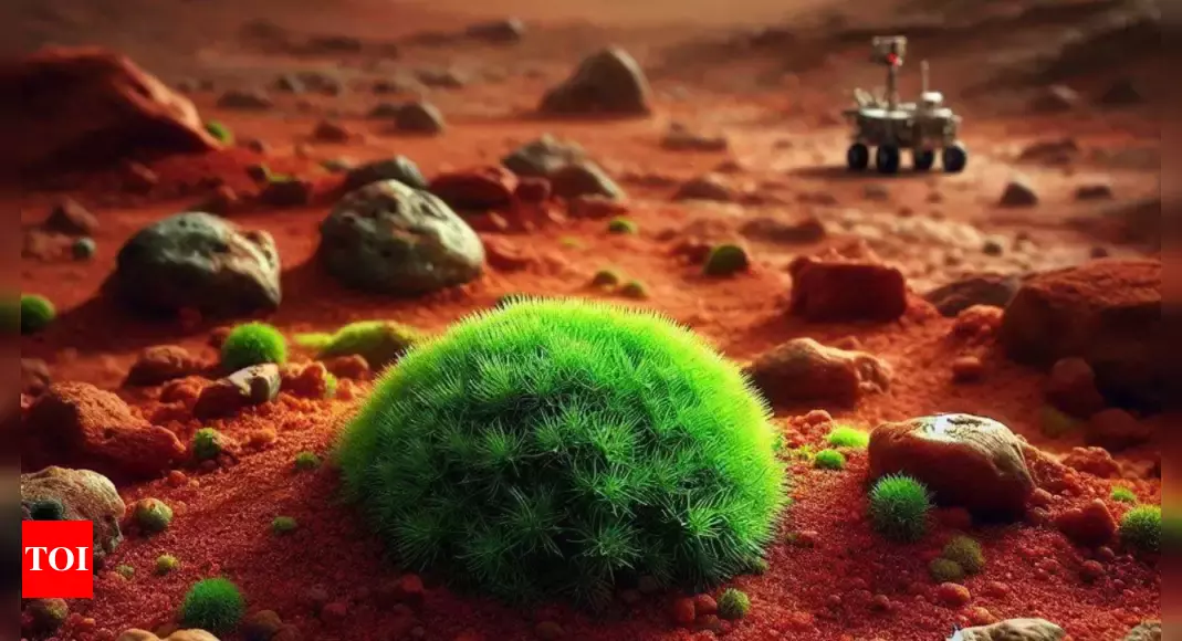 How this 'super moss' may help humans survive on Mars: Scientists reveal