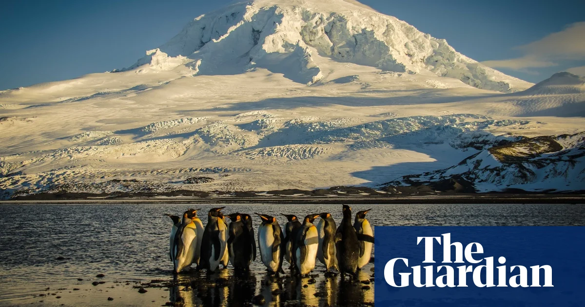 ‘Huge environmental win’: Australia to protect 52% of its oceans, more than any other country, Plibersek says