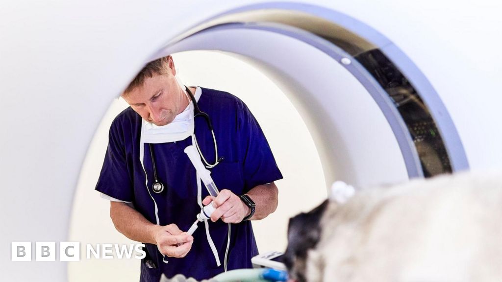 Radiologists warn over habitual delays for cancer treatment