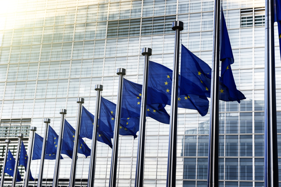 EU AI Act: A Cornerstone for Business Opportunities