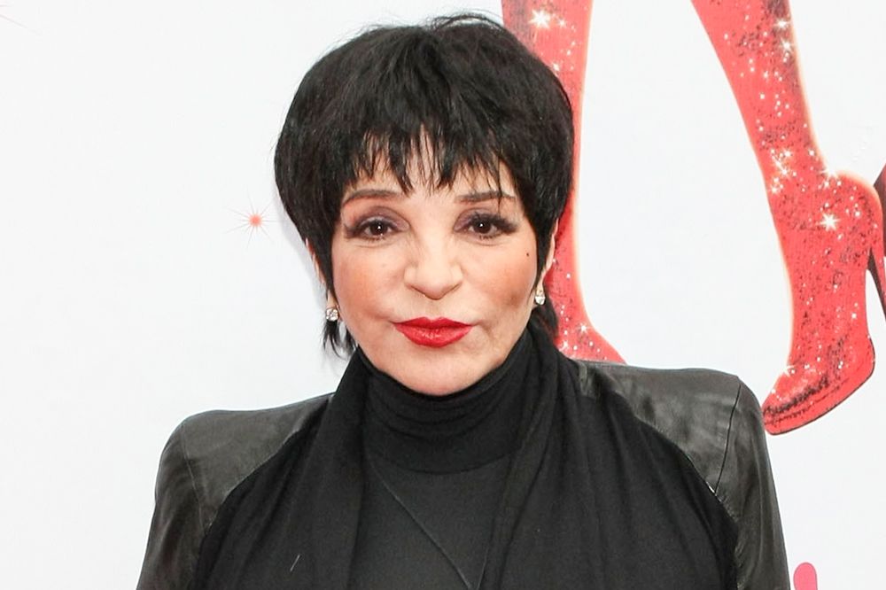 Liza Minnelli will release memoir in 2026 to correct the record