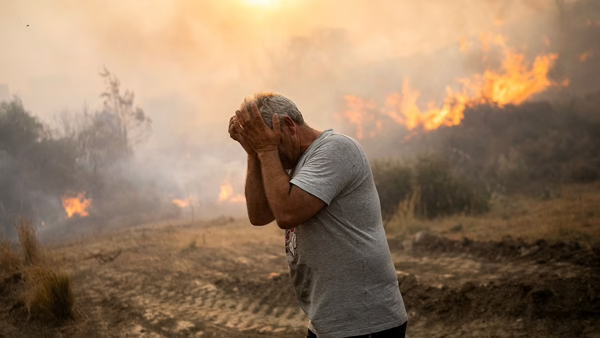 Summer of 2023 was the hottest in 2,000 YEARS - and scientists say climate change is to blame