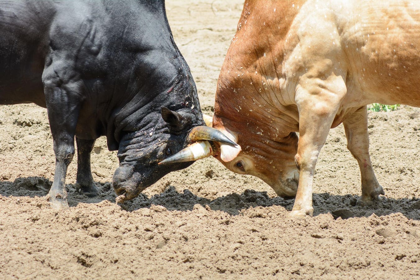 This BTC Bull Market In Confounding Predictions