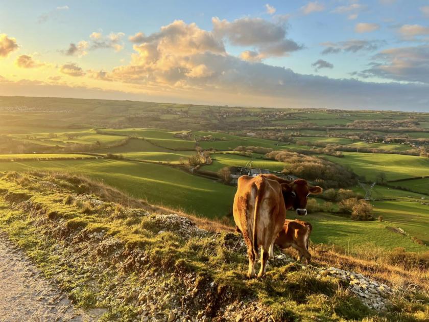 Dorset could get new National Park - but there's a catch