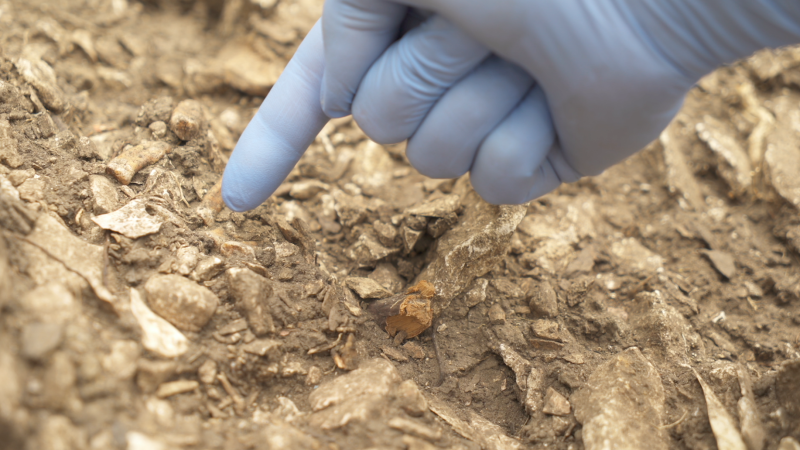 Cave discovery may explain why Neanderthals disappeared, scientists say | CNN