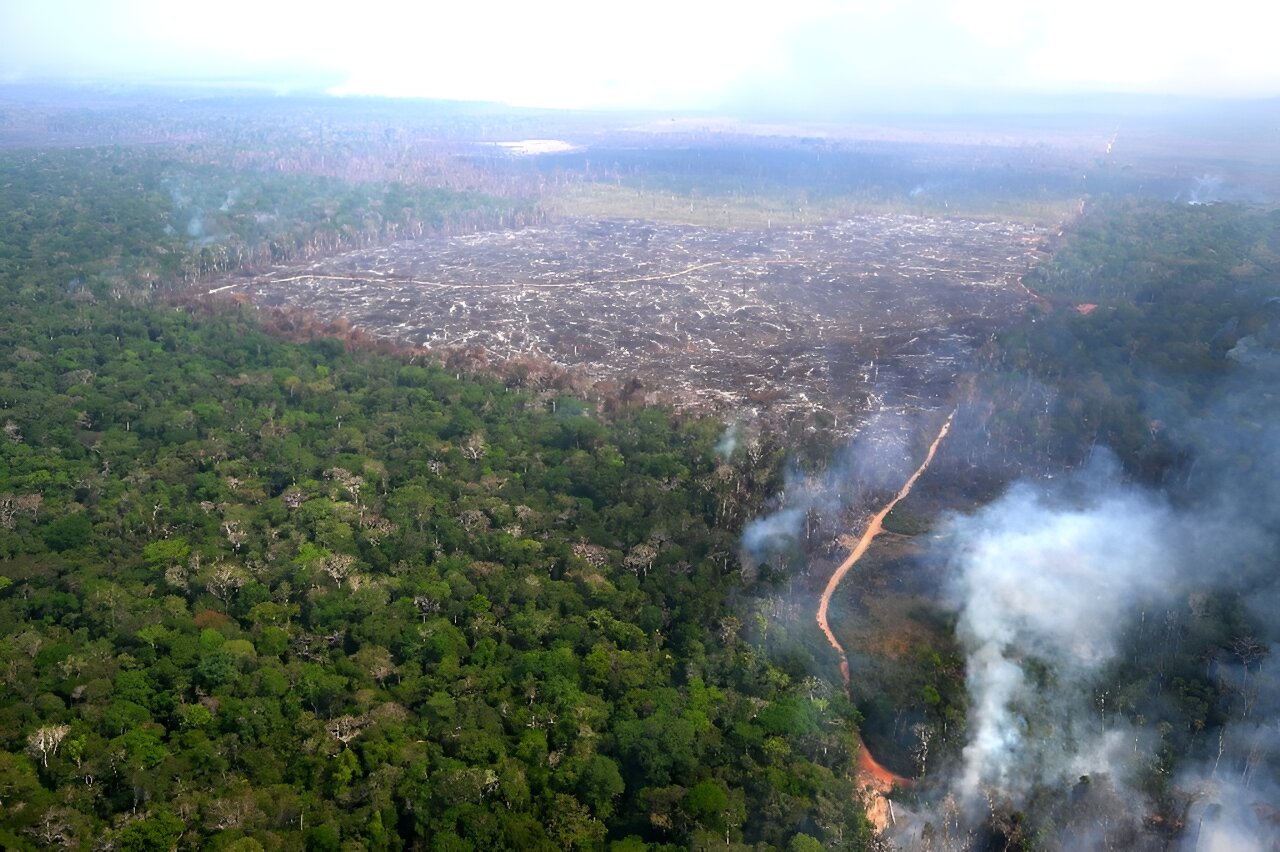 Facing backlash, EU moves to delay deforestation rules